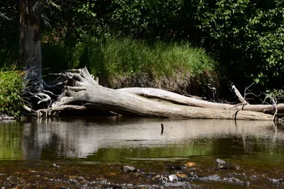 DSC_3645 (Large).JPG